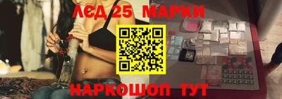 индика Рыбинск