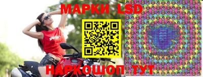 индика Рыбинск