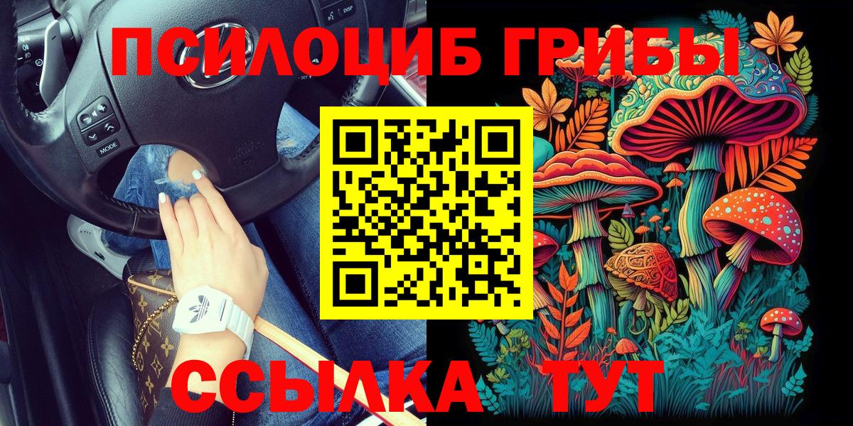 Галлюциногенные грибы Psilocybe Саянск