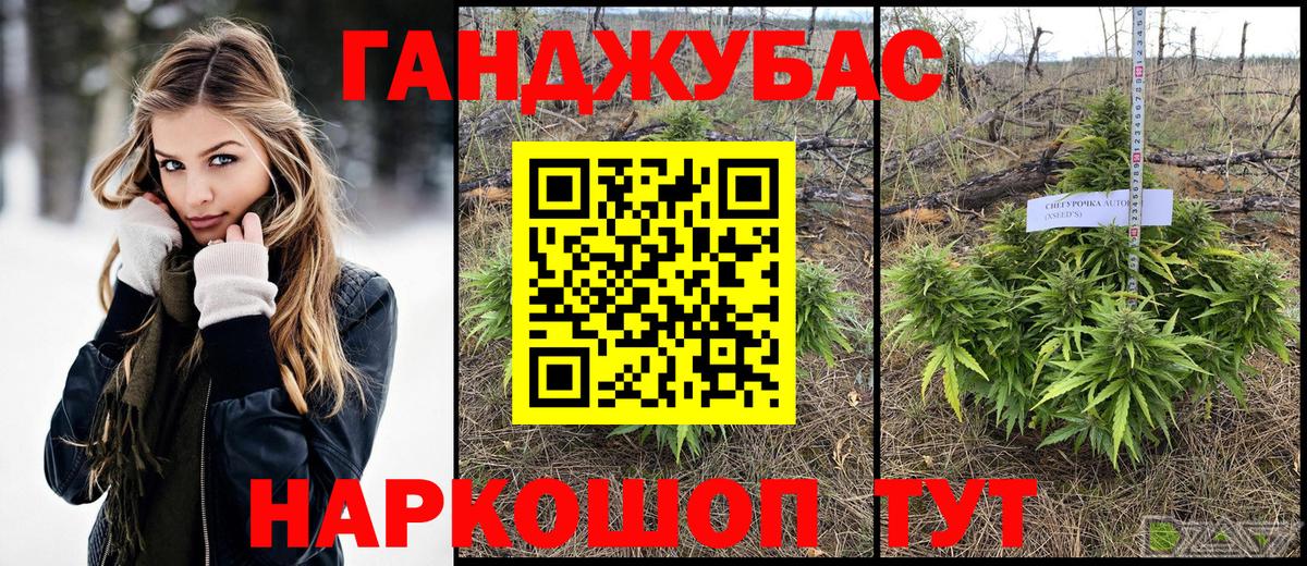 Конопля семена  МАРИХУАНА семена  МАРИХУАНА OG Kush  Вход с VPN  Саянск  Канабис Amnesia 